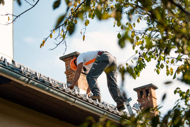 Best Flat Roof Repair Services  in Goodwater, AL