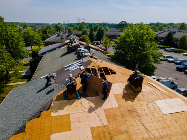 Quick and Trustworthy Emergency Roof Repair Services in Goodwater, AL