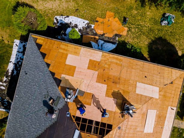 Best Gutter Installation and Roofing  in Goodwater, AL